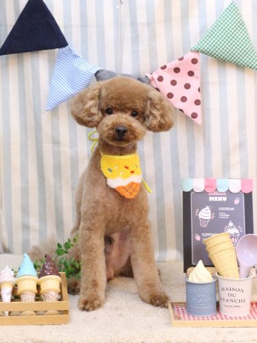 20250525まめくん